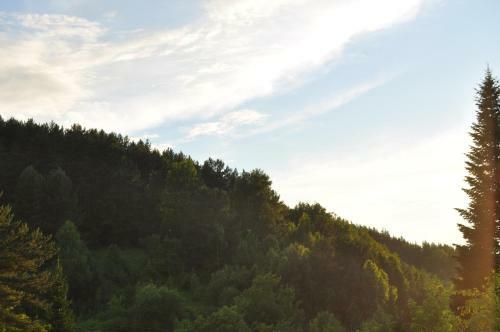 Hostal Guest House Yablonevyy Tsvet