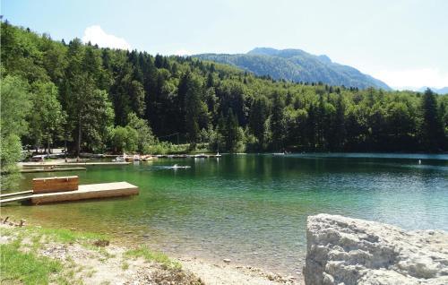 Two-bedroom Apartment In Bohinjska Bistrica