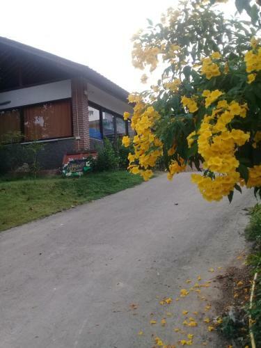 Khai Mook Homestay