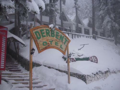 Motel Ilgaz Derbent Hotel