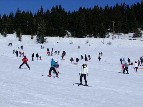 Motel Ilgaz Derbent Hotel