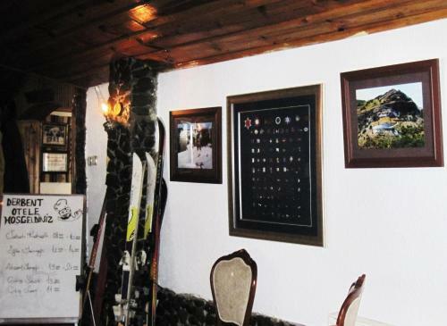 Motel Ilgaz Derbent Hotel