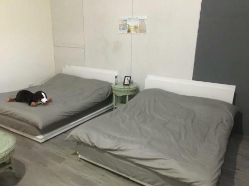 Chen The House