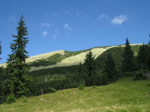 Lodge Private Sadyba Guslashky