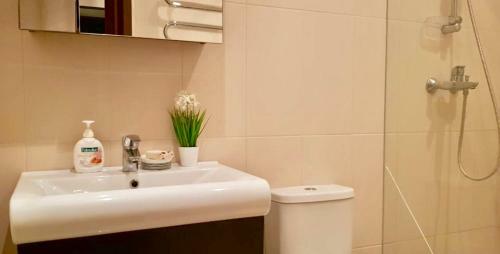 Apartment Delux Incity