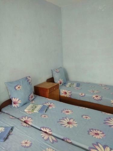 Hostal Raisa