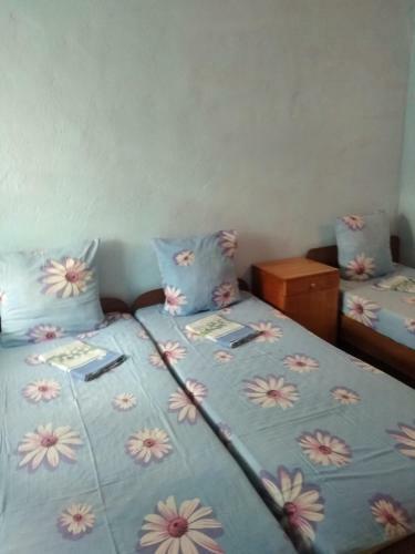Hostal Raisa