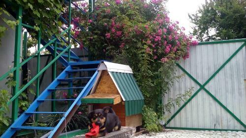 Hostal Raisa