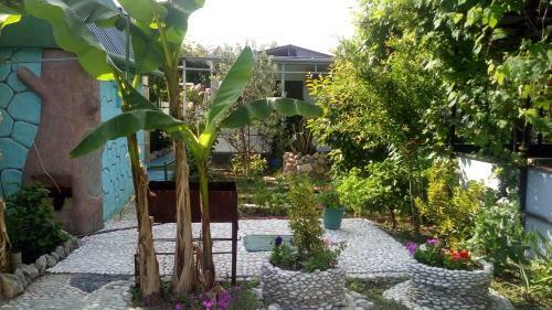 Hostal Raisa