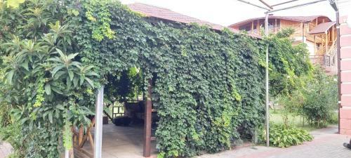 Hostal Guest House Pegas