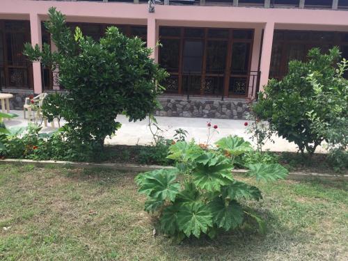 Hostal Guest House On Lakrba 3