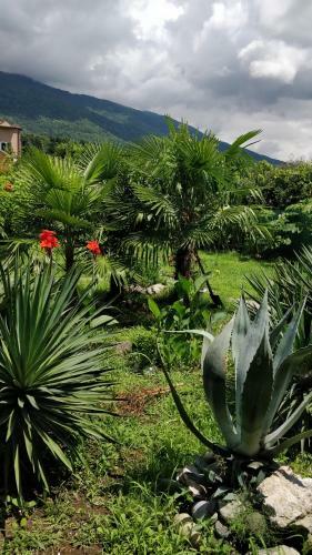 Hostal Tikhanya Gavan Guest House