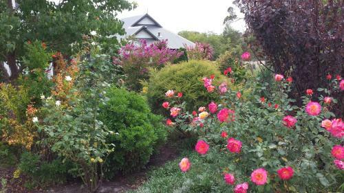 Glenelg On King Bed & Breakfast
