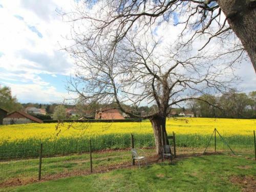 G�te Montardon, 4 Pi�ces, 6 Personnes - Fr-1-384-161