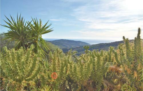 Three-bedroom Apartment In Serra Di Ferro