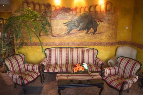 Hotel Toro Negro