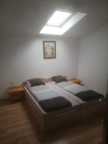 Hostal Guest House Delphini