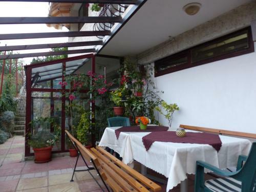 Hostal Guest House Delphini