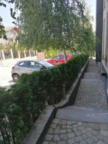 Boutique Home Apartments