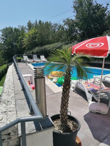 Boutique Home Apartments