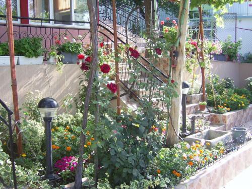 Hostal Villa Jana