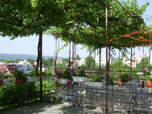 Hostal Villa Jana