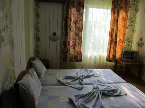 Hostal Villa Jana