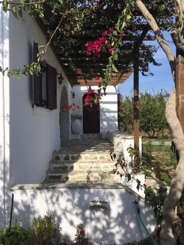 Villa Stefano