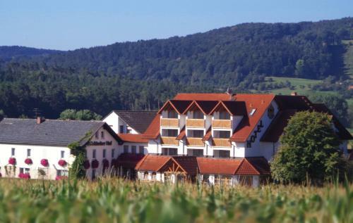 Hotel-restaurant "fr�nkischer Hof"