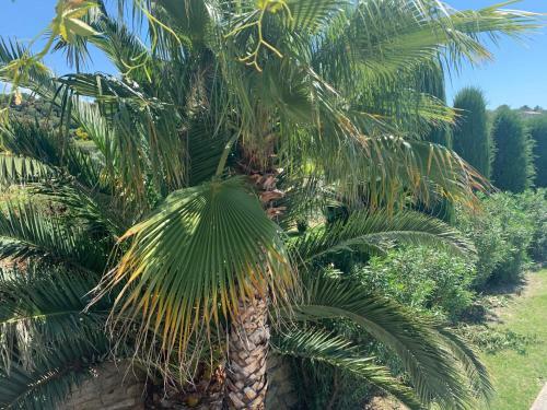 Bed & Breakfast Domaine La Condamine