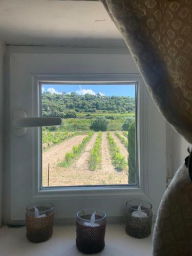 Bed & Breakfast Domaine La Condamine
