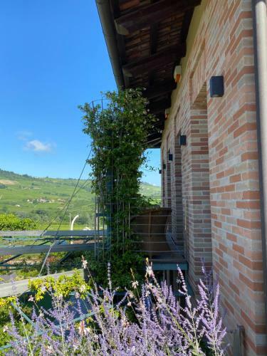 Apartamento Agrisuite Il Cedro