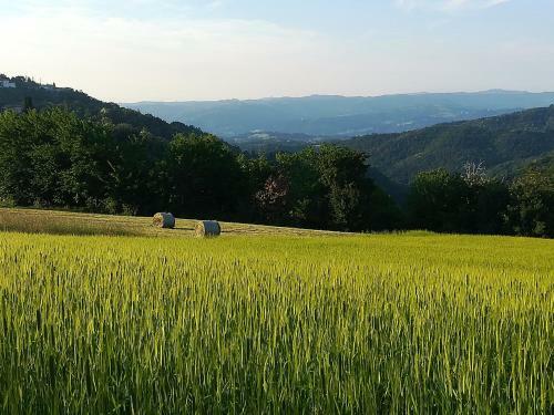 Agroturismo La Botalla Agriturismo