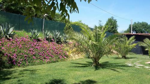 Bed & Breakfast La Mezzina