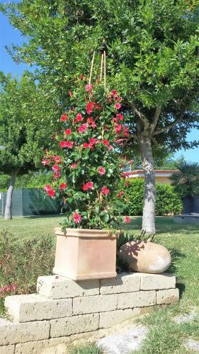 Bed & Breakfast La Mezzina