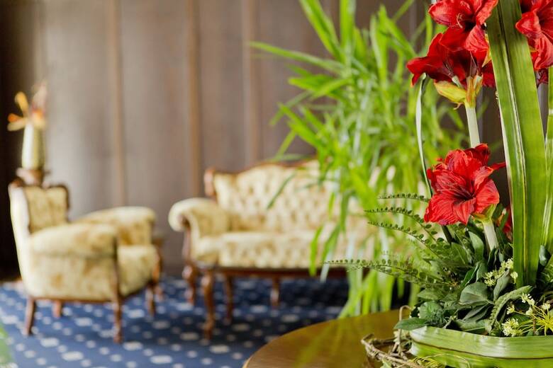 Hotel Palace Marina Dinevi