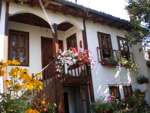 Hostal Tsutsovi House