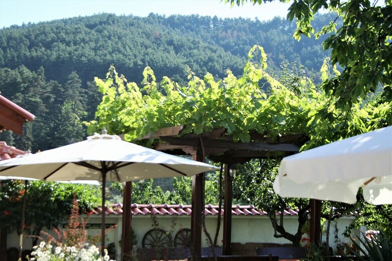 Hostal Iliikova House