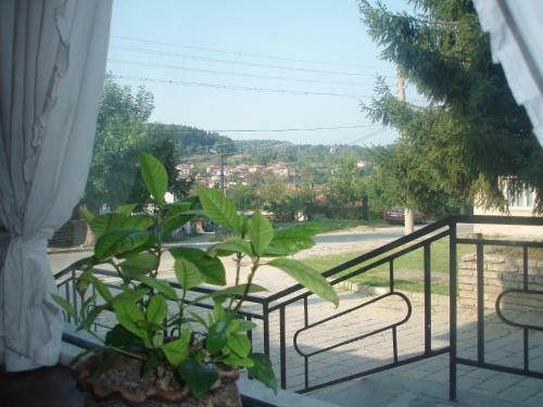 Hostal Mania Guest House