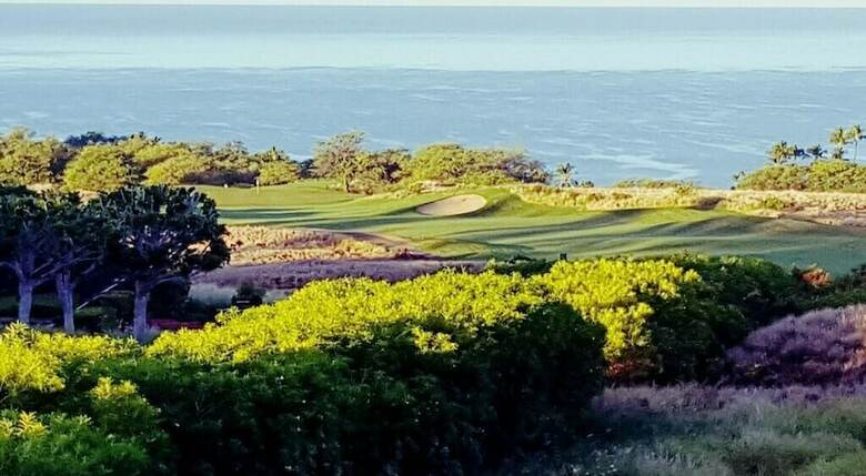 Wai'ula'ula D201