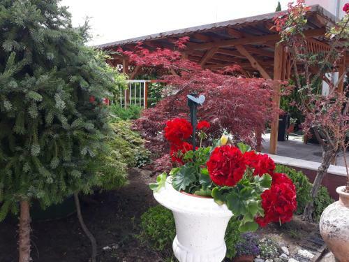 Hostal Guest House Ralitsa