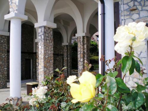 Aparthotel Etara Hotel