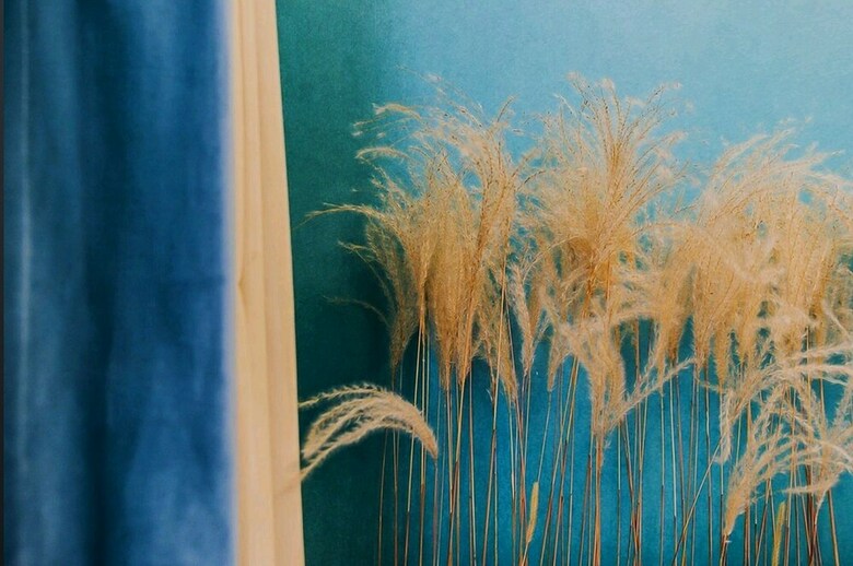 Field Airly Apartment