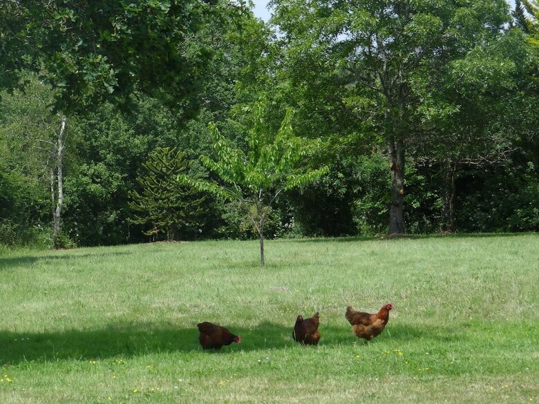 Domaine Des Coutelleries