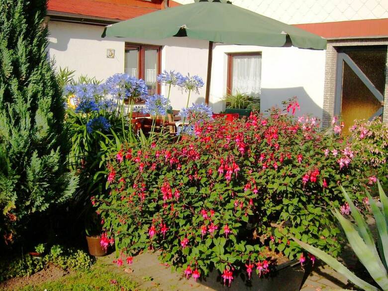 Charming Apartment In Ilmenau With Sauna