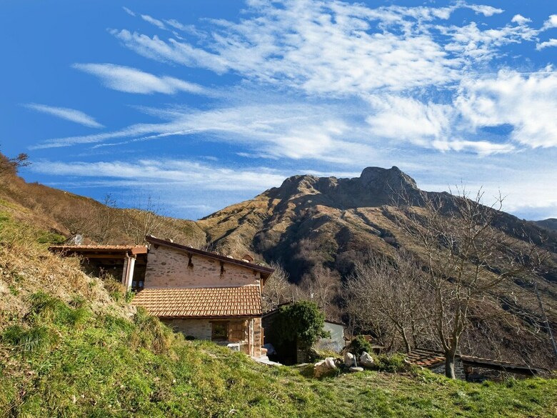 Cosy Holiday Home In Metato With Swimming Pool