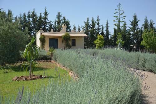 Riad Le Ksar de Fes