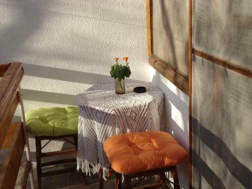 Hostal Villa Exotica