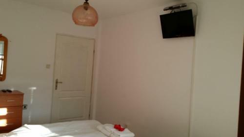 Hostal Villa Exotica