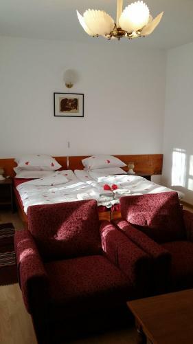 Hostal Villa Exotica